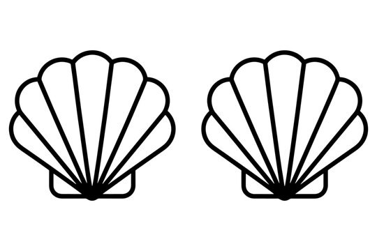 Seashell line icon for beach and summer designs. Vector illustration.