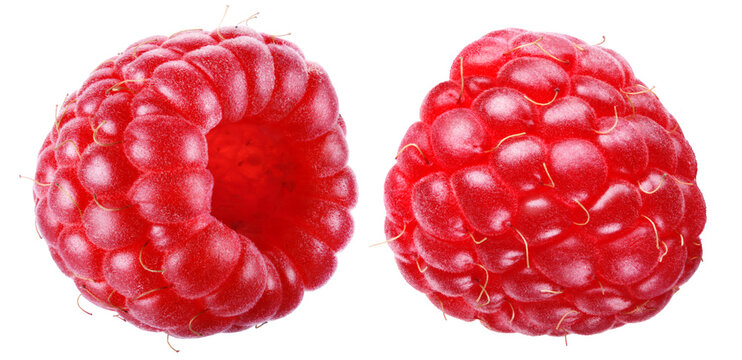 Two ripe juicy raspberries placed side by side and shown from opposite sides isolated on transparent background.