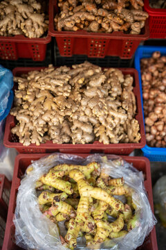 Plastic containers filled with fresh organic ginger roots and plastic bag full of galangal for sale, street food market selling food ingredients for cooking, local farmers shop sells edible roots.