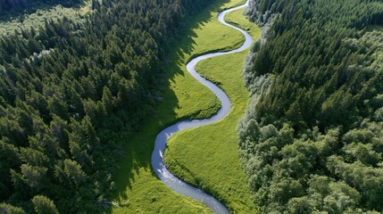 Obraz premium The winding river weaving through a lush forest valley below