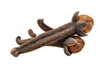 Fototapeta premium Two aromatic dried cloves, rich in warm flavor and intricate texture, are meticulously presented, highlighting their essential role in global cuisine and traditional remedies.