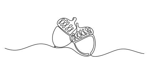 Continuous single line drawing of two acorns showing autumn nature concept © Graphics Art