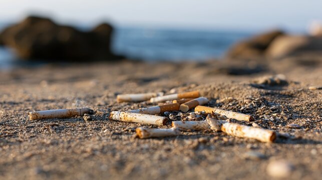 The Cigarette Butt Litter Scattered Across a Sandy Beach by the Sea