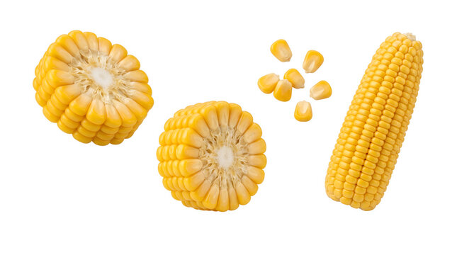Fresh sweet corn cob segments and kernels on transparent background
