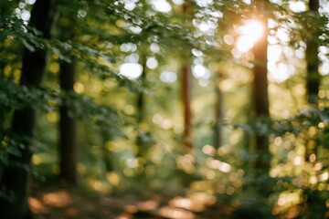 Obraz premium The Forest Path in Morning Light Through Blurred Trees and Sunbeams