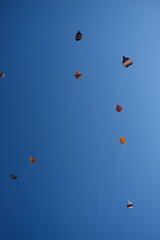 Fototapeta premium Colorful traditional Balinese kites flying in a blue sky with sunlit kite strings