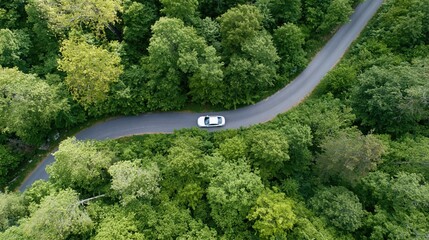 Obraz premium The Car on a Winding Forest Road in Lush Greenery