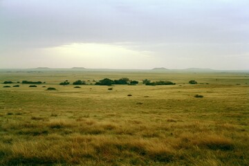 Obraz premium The Vast Grassland Landscape at Distant Horizon Under Soft Sky