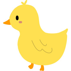 Cute duckling illustration  © Claudia