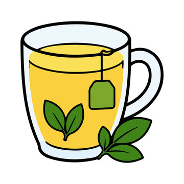 Transparent glass mug of herbal tea with tea bag and leaves vector illustration