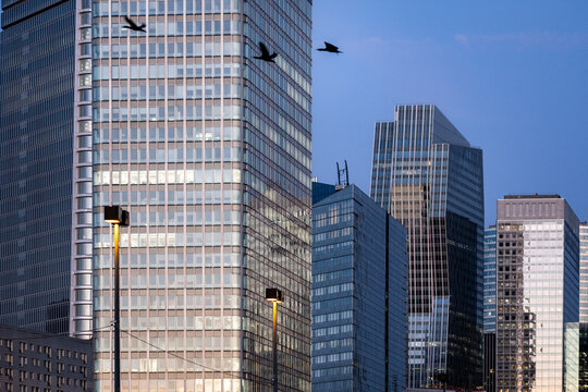 At dusk in La Defense, Paris, France, glass office towers shape an urban skyline, each facade catching cool light as architecture rises above the street.