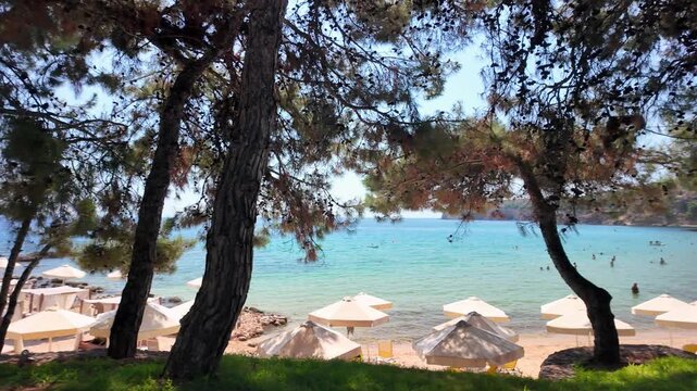 A beach with white umbrellas, seen from a shady, wooded shore overlooking a turquoise Aegean Sea in sunny Greece. 
