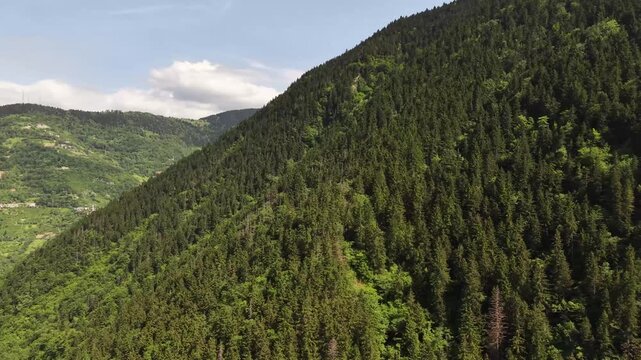 The Breathtaking Natural Beauty of Macka, Trabzon