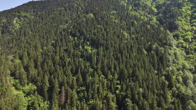 The Breathtaking Natural Beauty of Macka, Trabzon