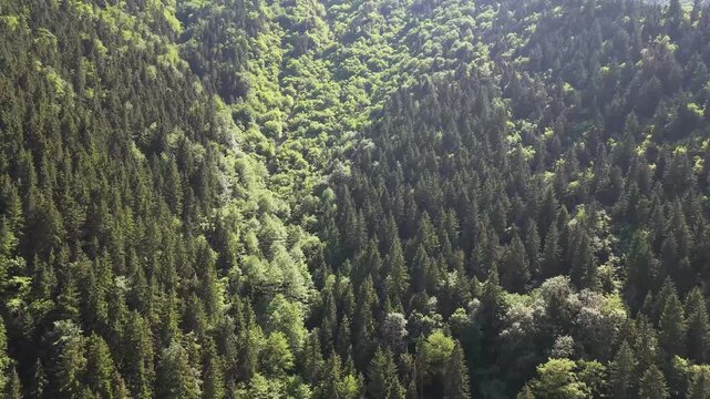 The Breathtaking Natural Beauty of Macka, Trabzon
