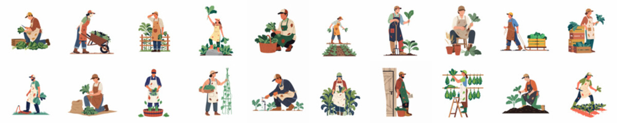 Fototapeta premium Set of Flat Vector Illustrations of People Gardening, Planting, and Harvesting. Diverse Men and Women Working in Garden with Tools, Plants, and Soil for Sustainability and Eco-friendly Hobby.