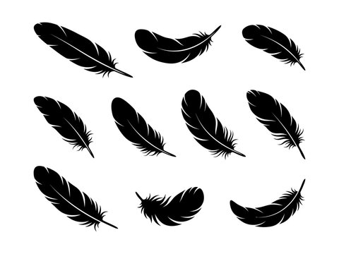 Black feather silhouettes collection on a white background elegant avian plumage design elements