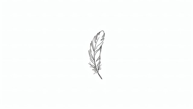 Minimalist hand drawn line art illustration of a single bird feather on a white background