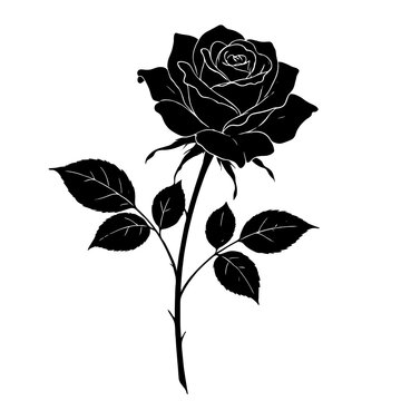 Beautiful black rose flower silhouette with stem and leaves isolated on white background