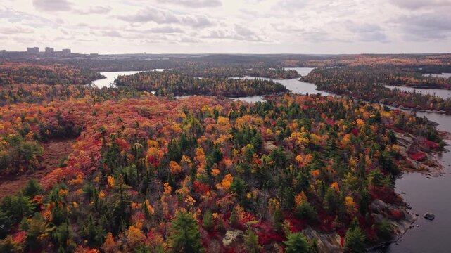 Aerial view of fall colors in forest by lake near Halifax Nova Scotia