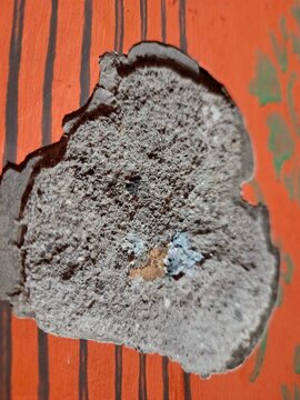Foto menampilkan sebuah bongkahan material berwarna abu-abu kasar dengan bentuk tidak beraturan, diletakkan pada permukaan berwarna oranye kemerahan yang memiliki pola garis hitam vertikal.