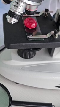 Research takes place in a lab on sweets and candies with various samples and a microscope situated on the table