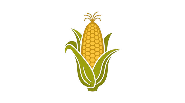 Vector illustration of a fresh corn cob with green leaves isolated on transparent background