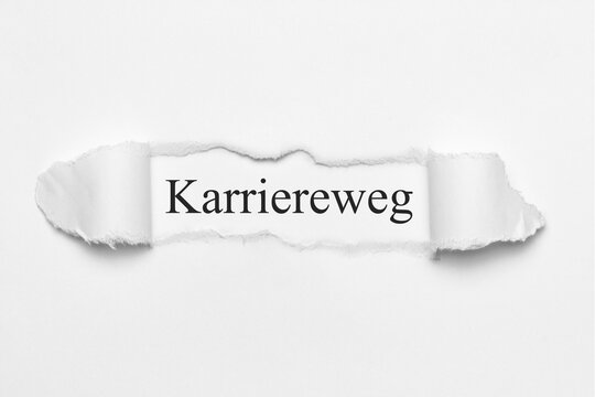 Karriereweg