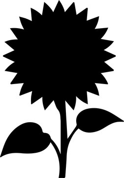 Black silhouette of sunflower plant with leaves isolated on transparent background.