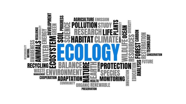 Ecology word cloud typography motion graphic with environmental terms
