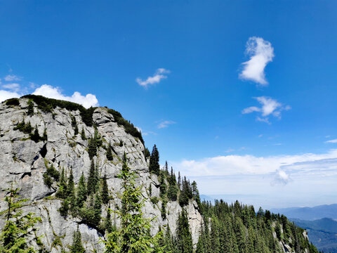 Ceahlău massif rocks and pine forest under blue sky