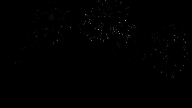Night Sky Fireworks Burst Over Dark City.
