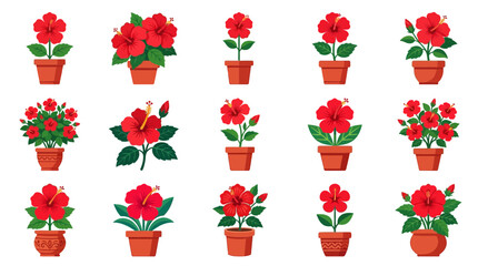 Red hibiscus plants in terracotta pots set © Ompong