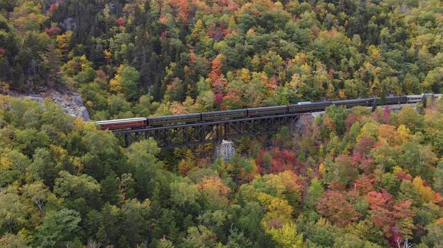 Scenic Train Crossing Bridge Through Colorful Autumn Forest