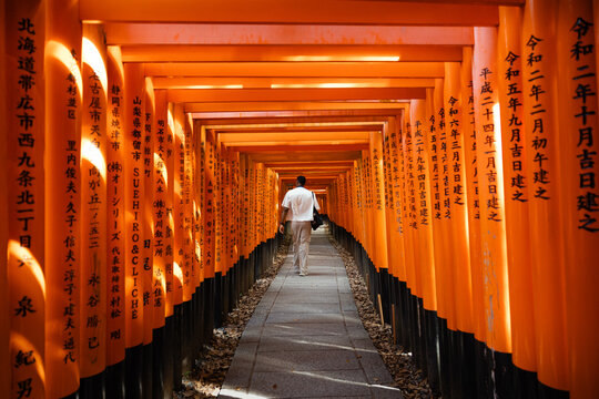 Tourist walking through sunlit torii tunnel