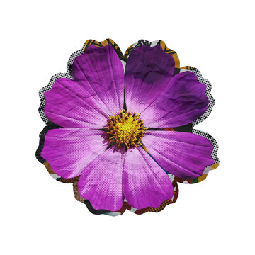 Template Halftone Flower Collage Art Element Isolated on a Transparent Background