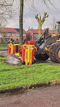 Tree transplanting and urban landscaping in Hoogeveen Netherlands with heavy machinery and specialized shovel attachment