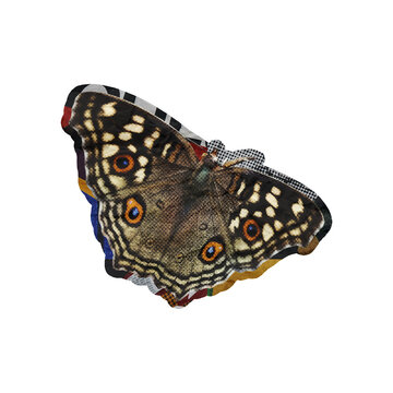 Template Halftone Butterfly Collage Art Element Isolated on a Transparent Background