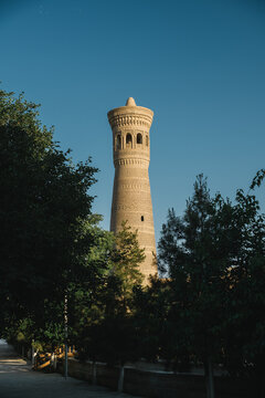 The historic Kalyan Minaret towering above green trees in Bukhara.