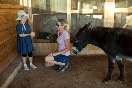 A child interacts with animals on a farm