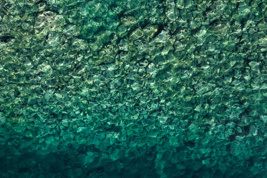 Sea urchins on the stones, top down aerial pattern