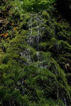 Water dripping