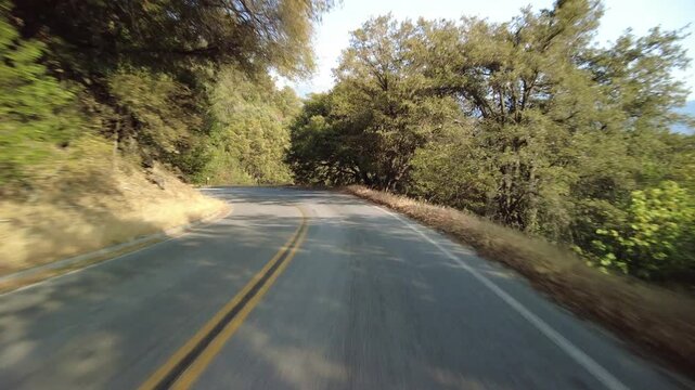 Sequoia National Park Generals Highway Southbound 27 MultiCam Front View Driving Plate California USA