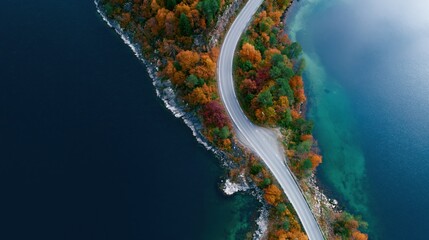 Obraz premium The Winding Road Through Autumn Forest Along Turquoise Lake Shore