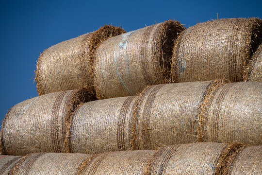 a neat stack of tightly bound, golden round hay bales set against a vibrant, clear blue sky.