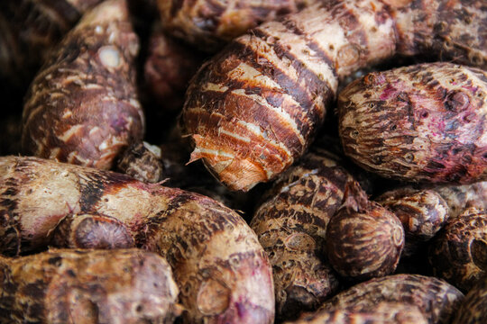 Fresh taro roots with rough brown skin, close-up of raw taro tubers