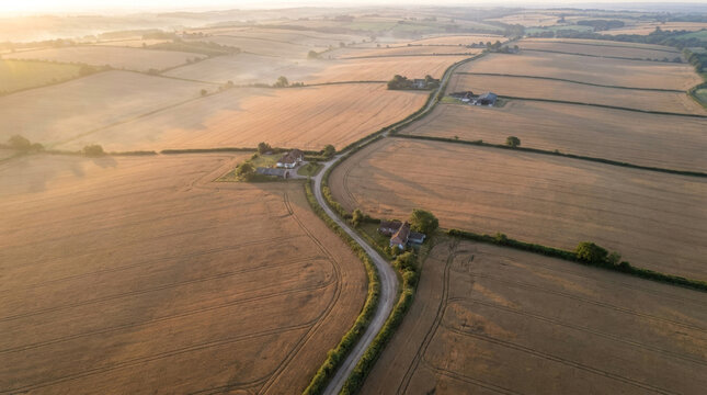 Aerial view of a winding country road through golden fields at sunrise, creating a serene rural landscape.