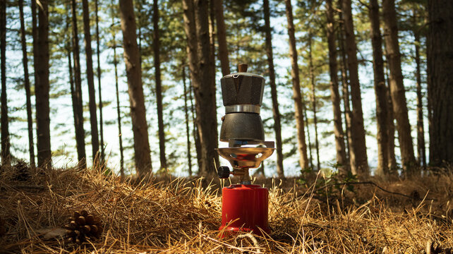 Coffee in the countryside