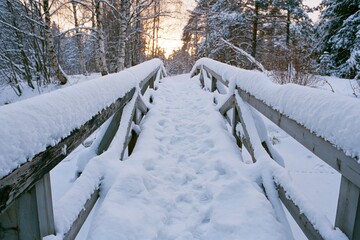 Obraz premium The Snowy Bridge through Frosty Forest Pathway under a Soft Winter Sunrise
