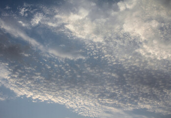 Obraz premium Dramatic altocumulus clouds in blue sky, textured white cloudscape background, natural sky overlay for design
